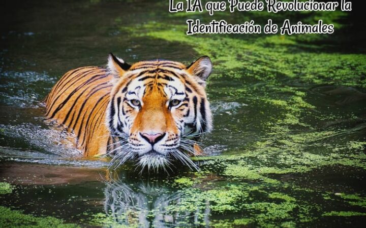 La IA que Puede Revolucionar la Identificación de Animales