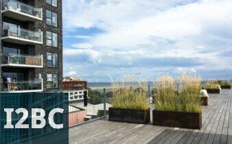 brown and gray concrete buildings